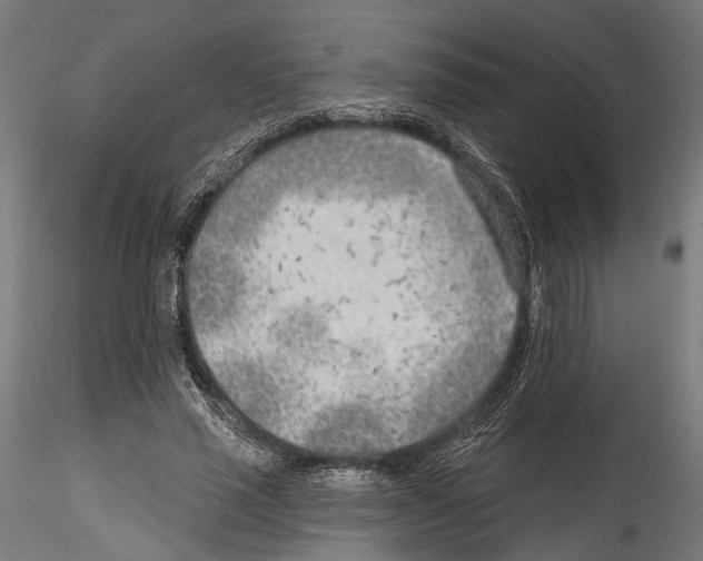 X0000114570637200911301312