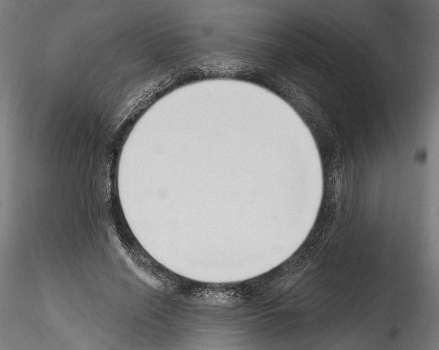 X0000114570638200911301312