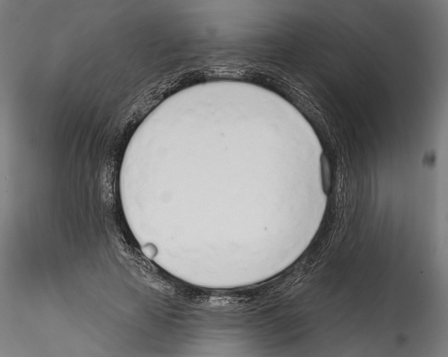 X0000114570641200911301312