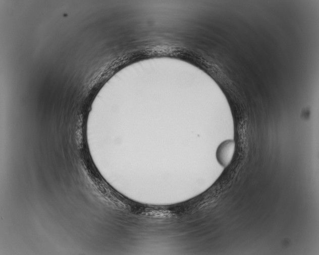 X0000114570642200911301312