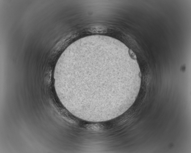 X0000114570652200911301312