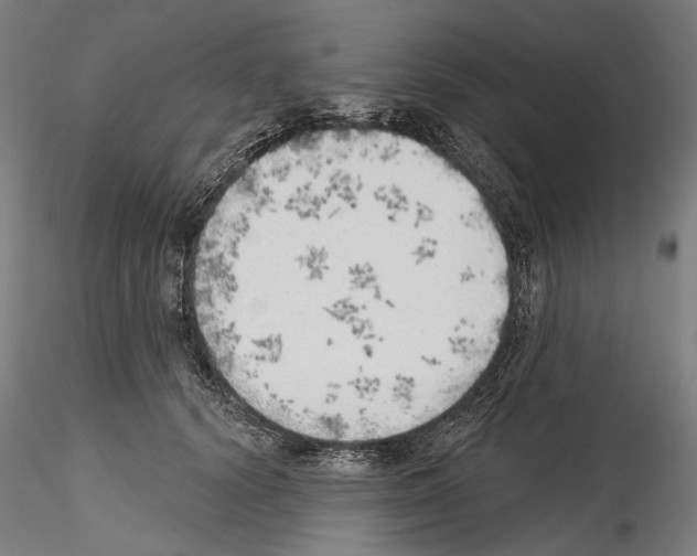 X0000114570656200911301312