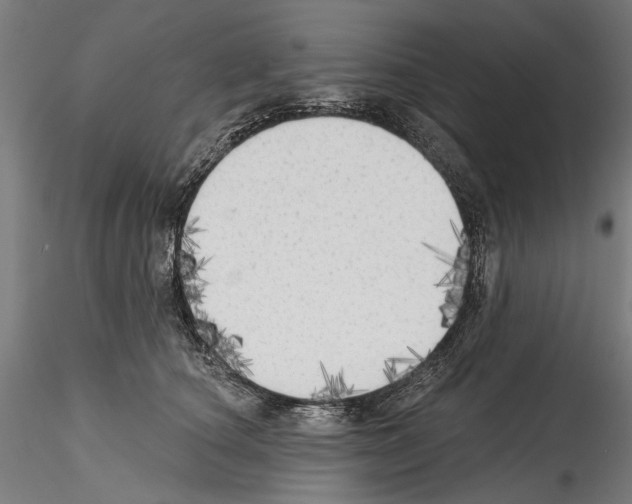 X0000114570660200911301312