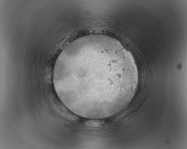 X0000114570661200911301312