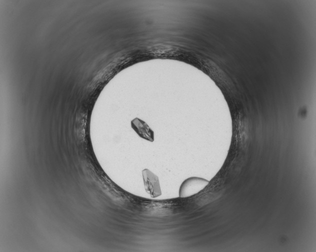 X0000114570664200911301312