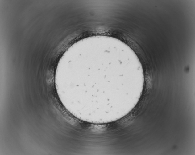 X0000114570665200911301312