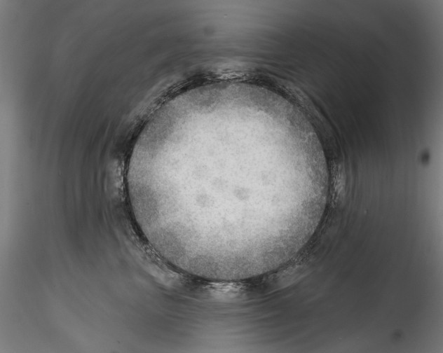 X0000114570667200911301312