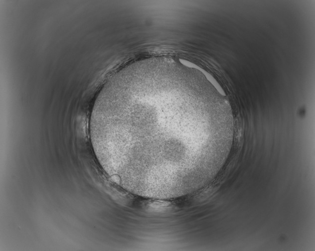 X0000114570669200911301312