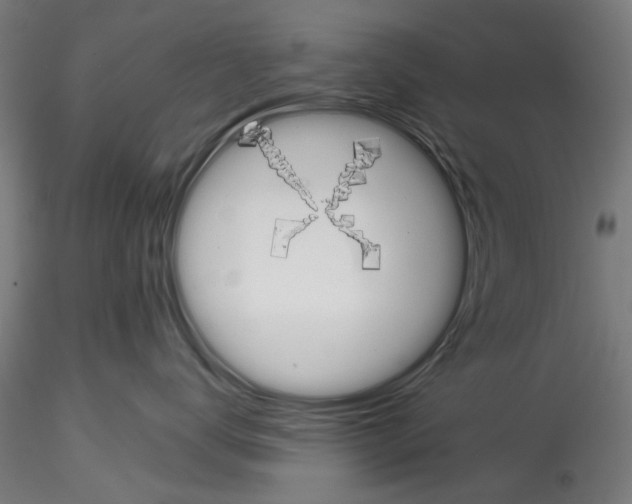 X0000114570672200911301312