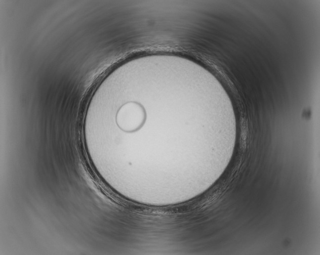 X0000114570677200911301312