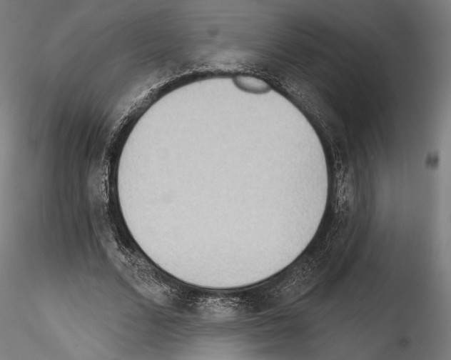 X0000114570680200911301312