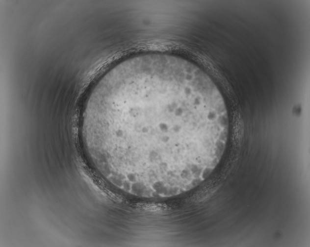 X0000114570683200911301312