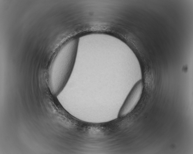 X0000114570684200911301312