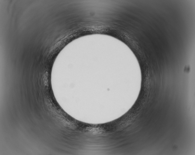 X0000114570689200911301311