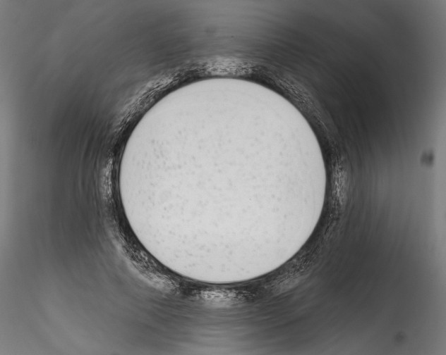 X0000114570690200911301311