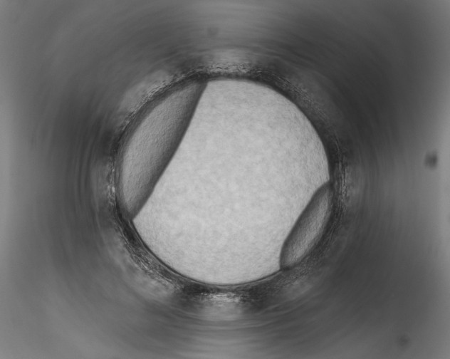 X0000114570692200911301311