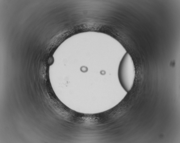 X0000114570693200911301311