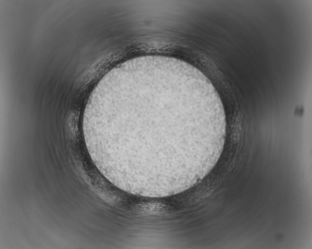 X0000114570695200911301311