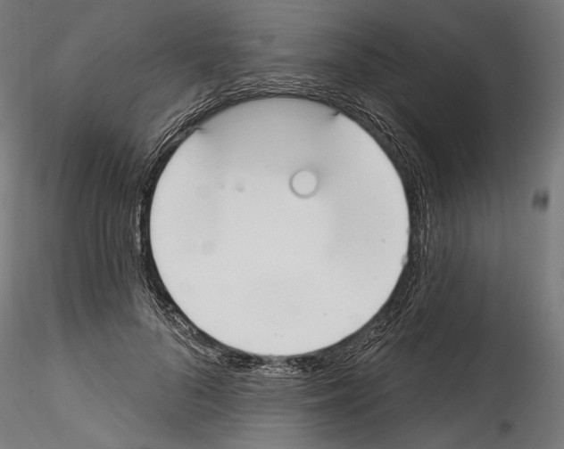 X0000114570696200911301311