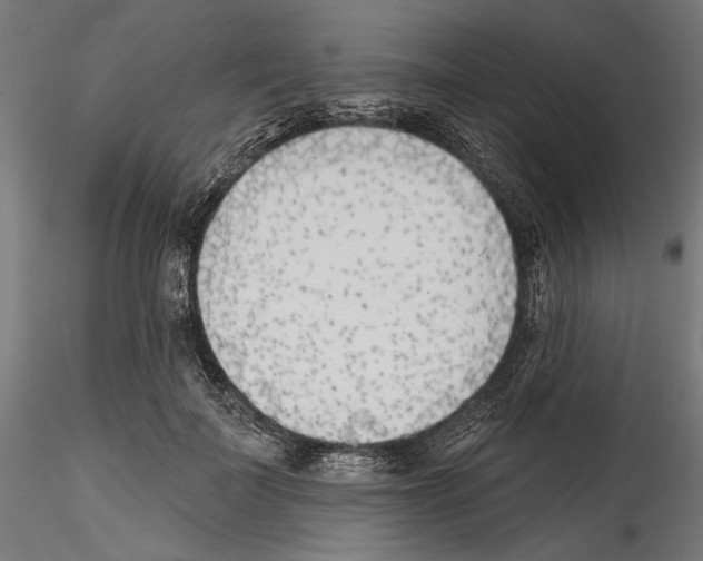 X0000114570699200911301311