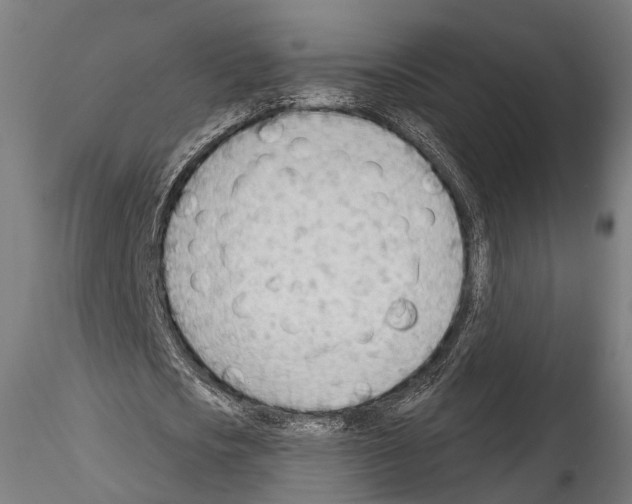 X0000114570721200911301310