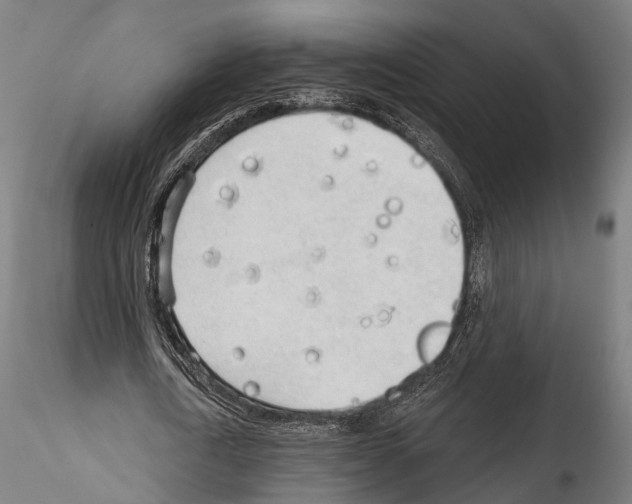 X0000114570722200911301310