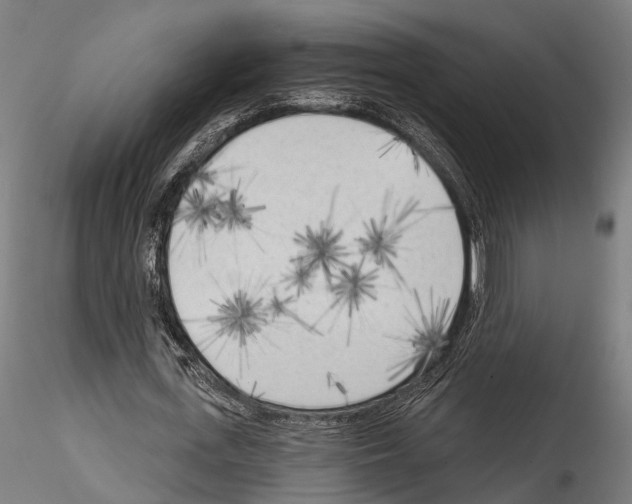 X0000114570723200911301310