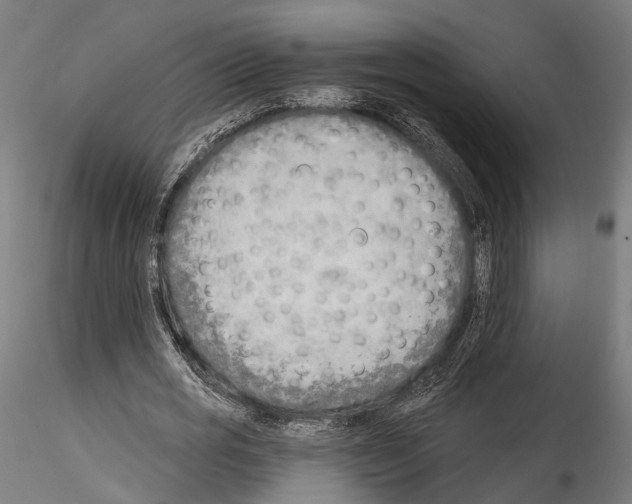 X0000114570725200911301310