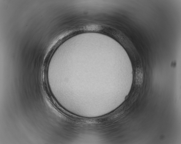 X0000114570726200911301310