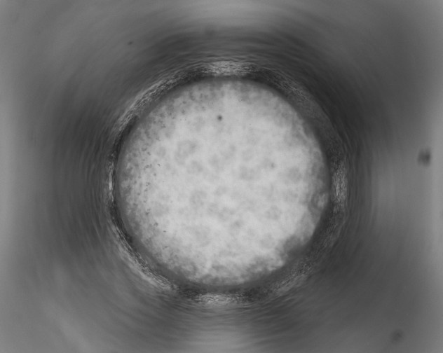 X0000114570733200911301311