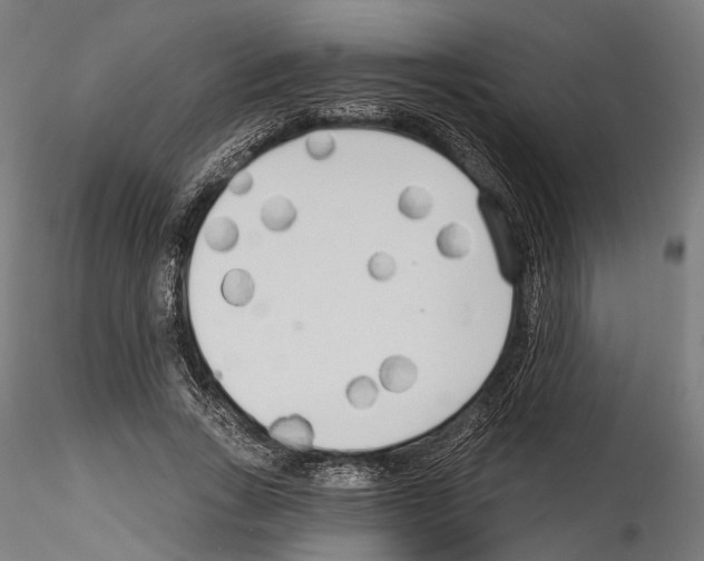 X0000114570735200911301311