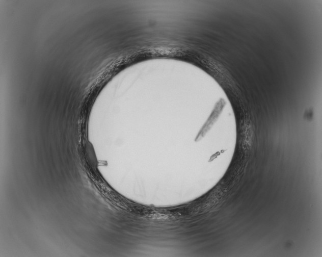 X0000114570738200911301311