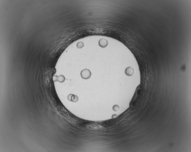 X0000114570747200911301311