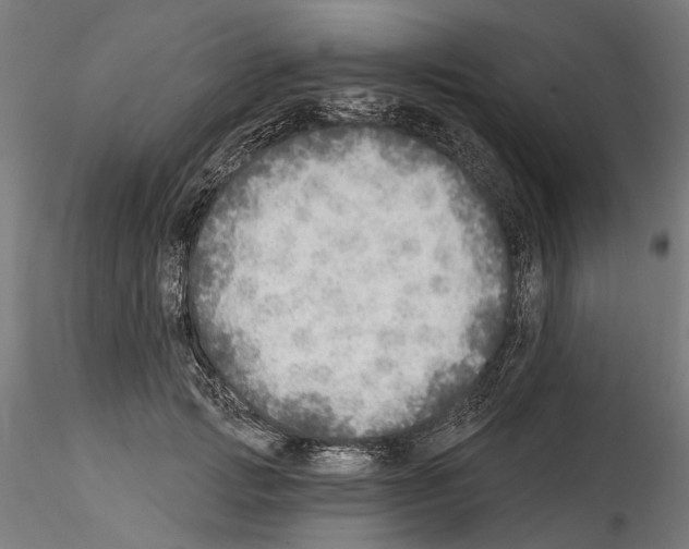 X0000114570749200911301311