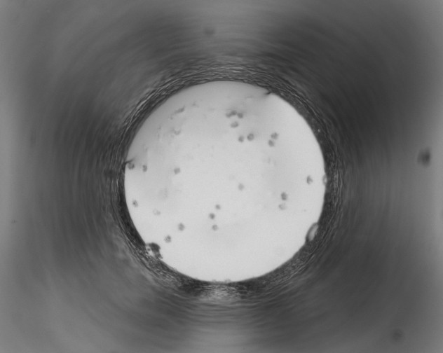 X0000114570750200911301311