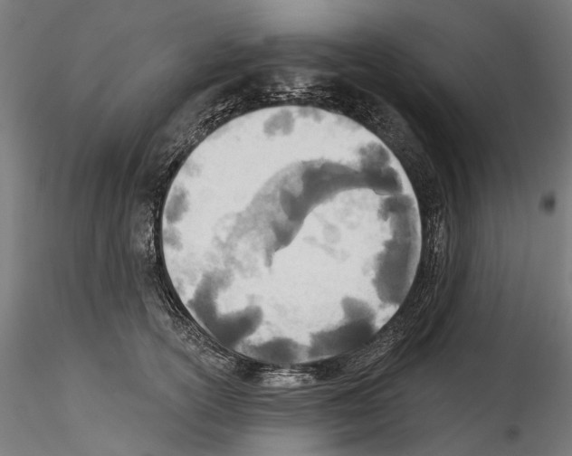 X0000114570754200911301311