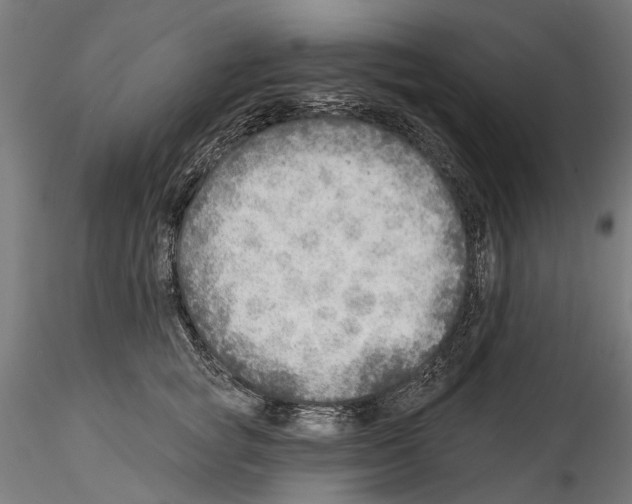 X0000114570757200911301311