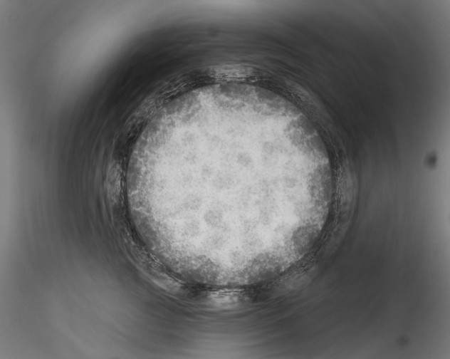 X0000114570761200911301311