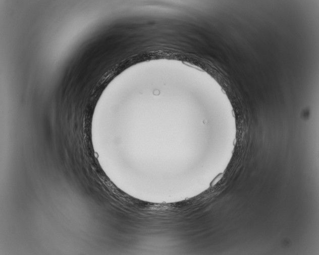 X0000114570762200911301311