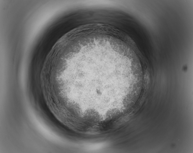 X0000114570765200911301311