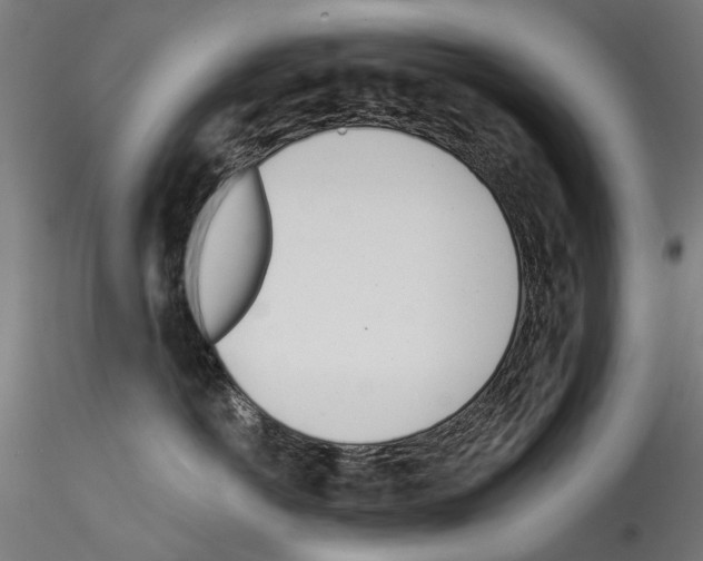 X0000114570766200911301311