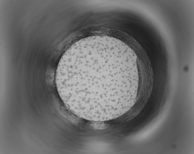 X0000114570767200911301311