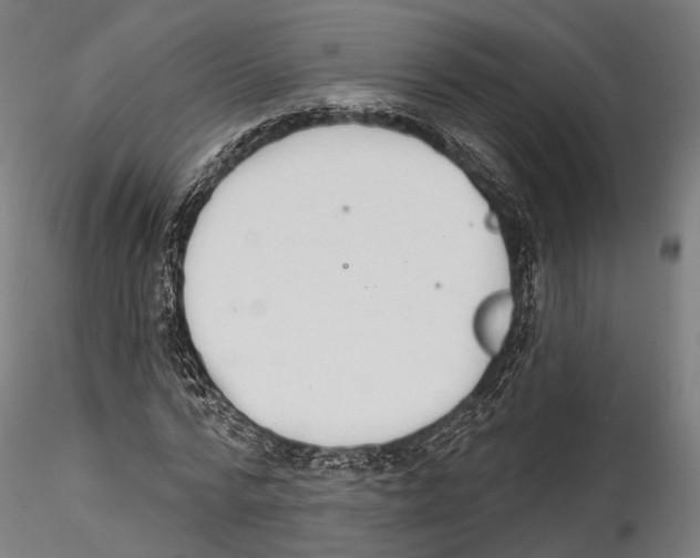 X0000114570776200911301310