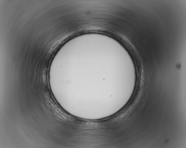 X0000114570777200911301310