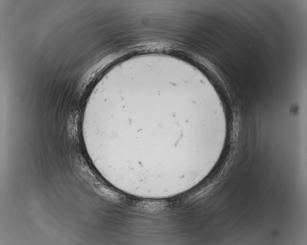 X0000114570778200911301310