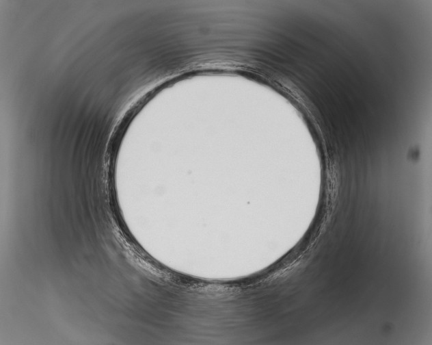 X0000114570779200911301310