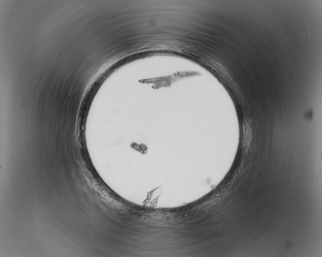 X0000114570780200911301310