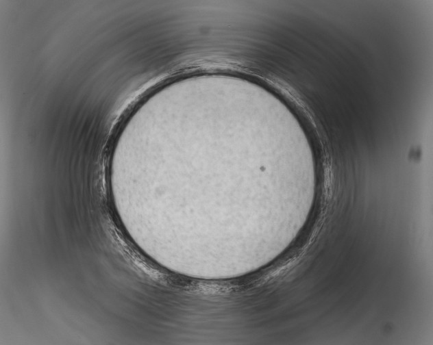 X0000114570782200911301310