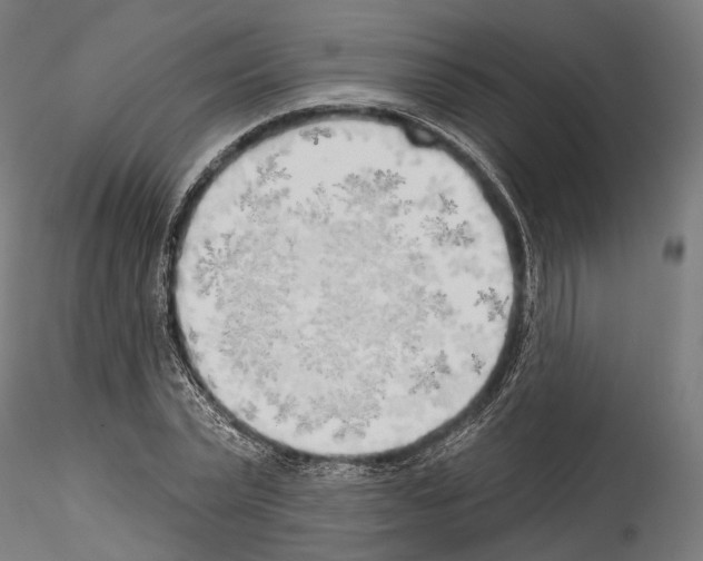 X0000114570783200911301310