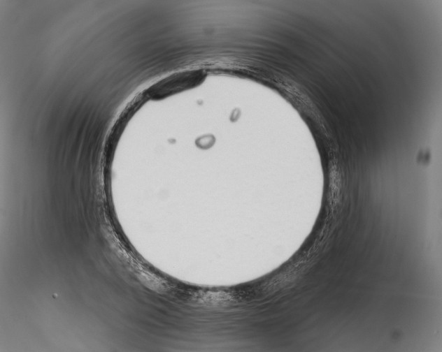 X0000114570784200911301310